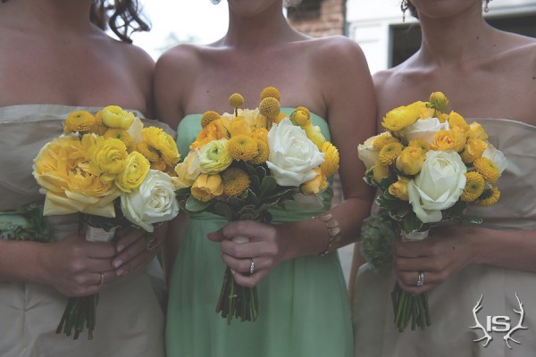 Wedding Blogs