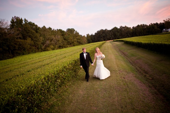 Charleston wedding Blog