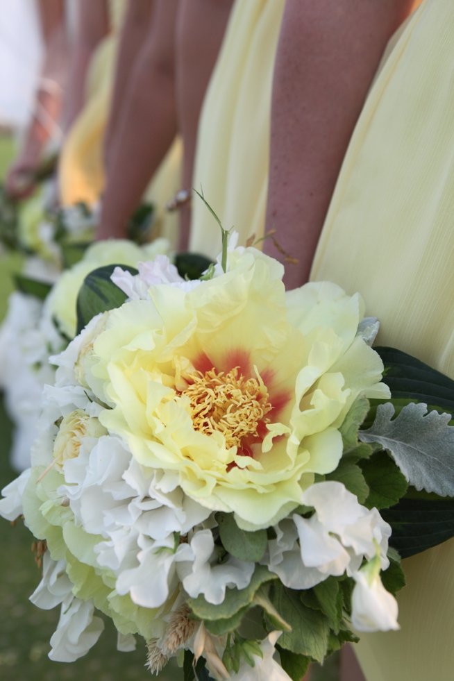 Kiawah Island Weddings