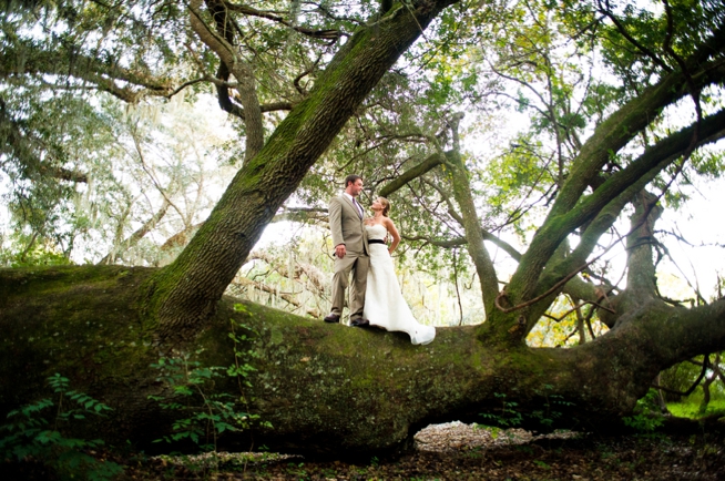 Charleston Weddings Blogs