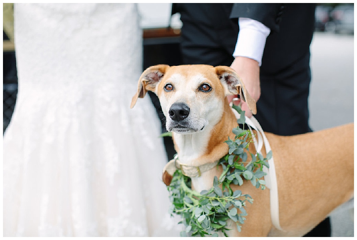 Pamela & Sims | Alhambra Hall - The Wedding Row