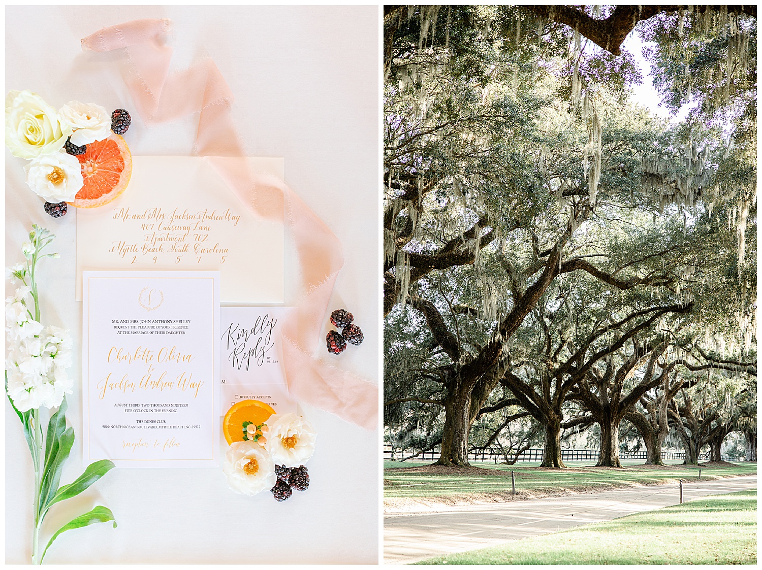 Airy Blush and White Wedding at Boone Hall Plantation — A Lowcountry Wedding  Blog & Magazine - Charleston, Savannah, Hilton Head, Myrtle Beach
